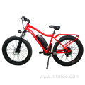 Wide Tyres excellent cross performance electric bicycle